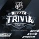 NHL HOCKEY TRIVIA BOARD GAME